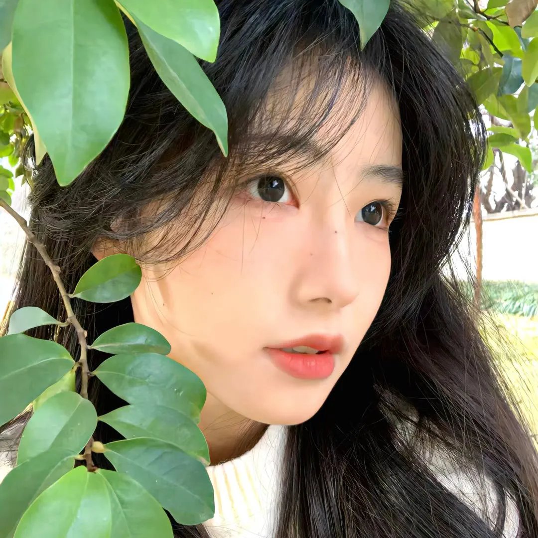 鹡鸰女神第一季